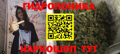 дурь Гусев
