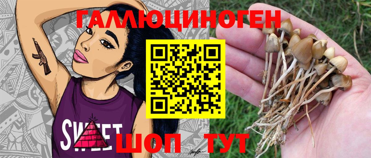 Миллерово  Галлюциногенные грибы Magic Shrooms  Вход с VPN 